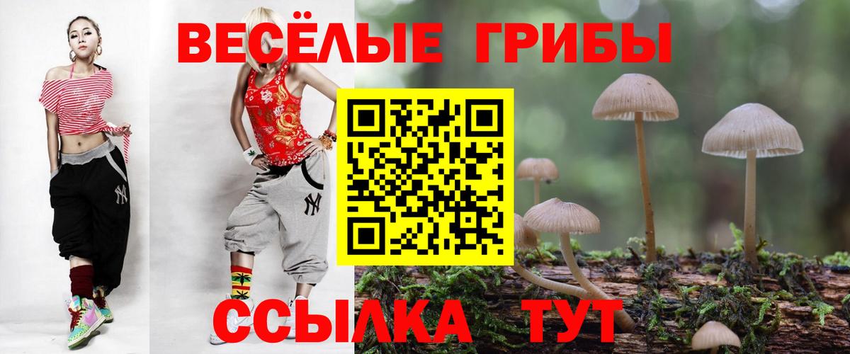 Владикавказ  магазин продажи наркотиков  Вход с VPN  Псилоцибиновые грибы Magic Shrooms 